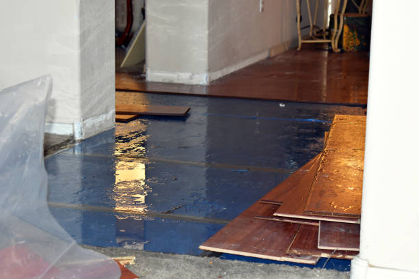 Professional Basement Flood Cleanup technician working in Petersham, MA